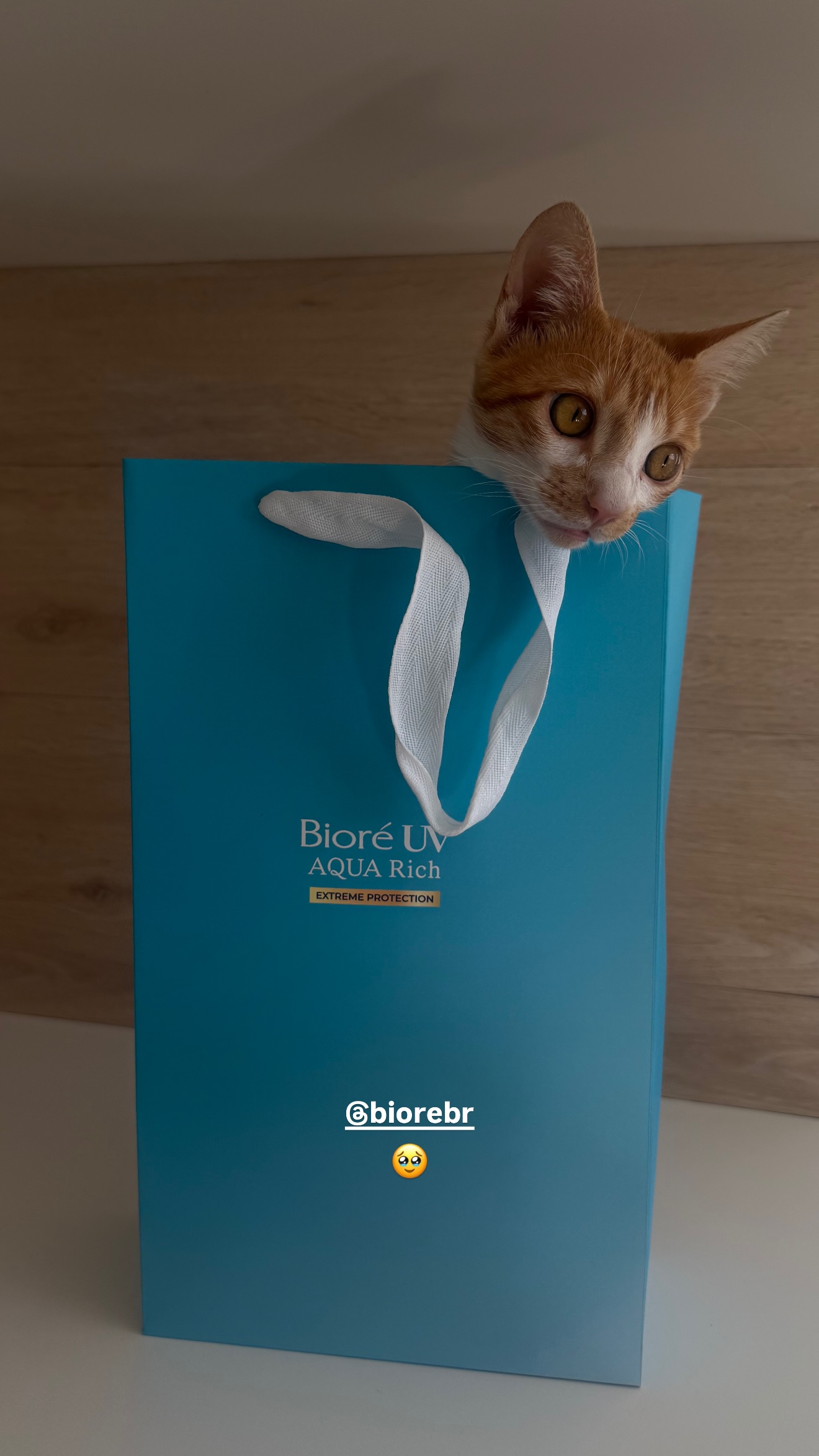 Story Isabella Guttmann com Bioré